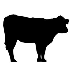 Canine Beef (Hypoallergenic) Mix